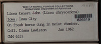 Image Associated With the Occurence